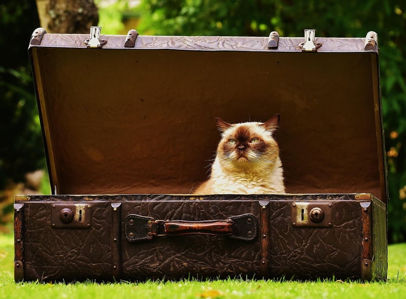 Smart Suitcase
